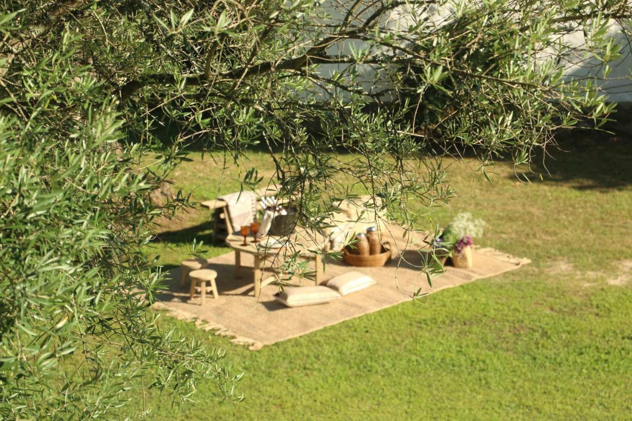 Terra Rosa Country House & Vineyards Ponte de Lima Exterior photo