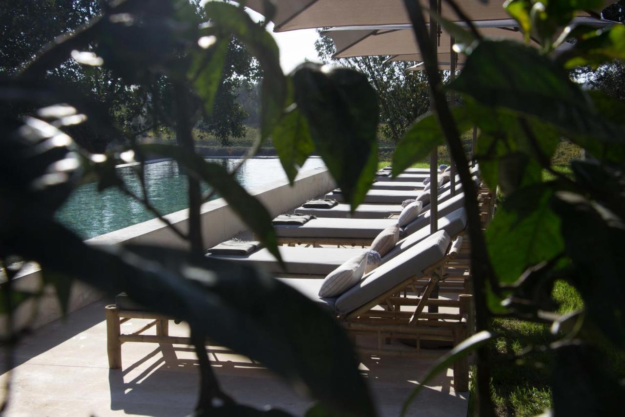 Terra Rosa Country House & Vineyards Ponte de Lima Exterior photo